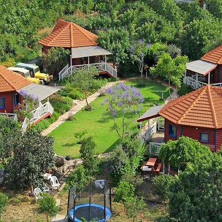 Cabin On The Hill Τιβεριάδα Εξωτερικό φωτογραφία